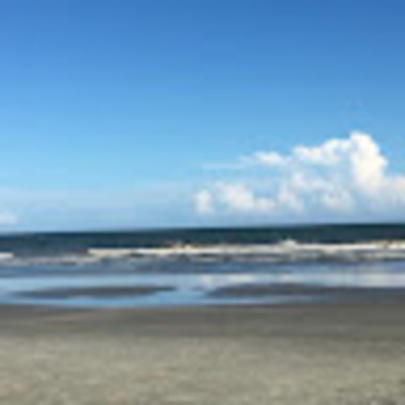 Meet your Posher, Beth - Picture 1 of 1